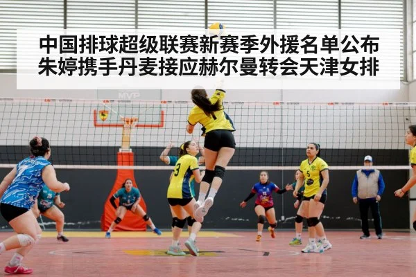 women's volleyball player